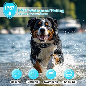 Los wearables inteligentes para mascotas marcan el comienzo de una nueva era en la gestión de la salud de las mascotas
